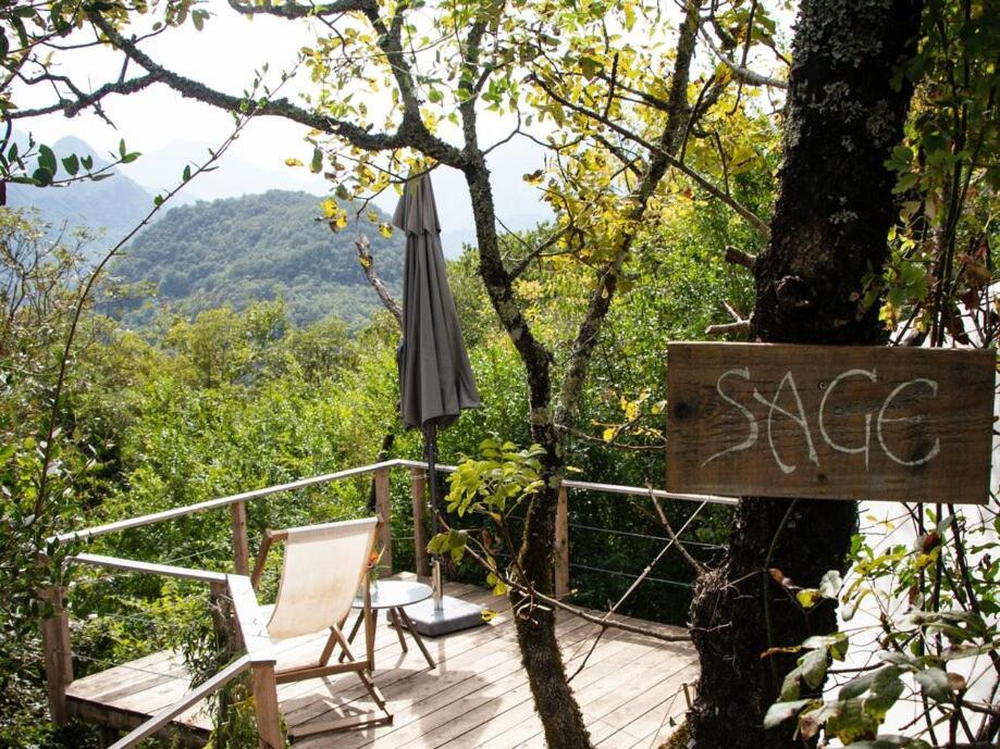 Отель Hoopoe Glamping Вирпазар Экстерьер фото