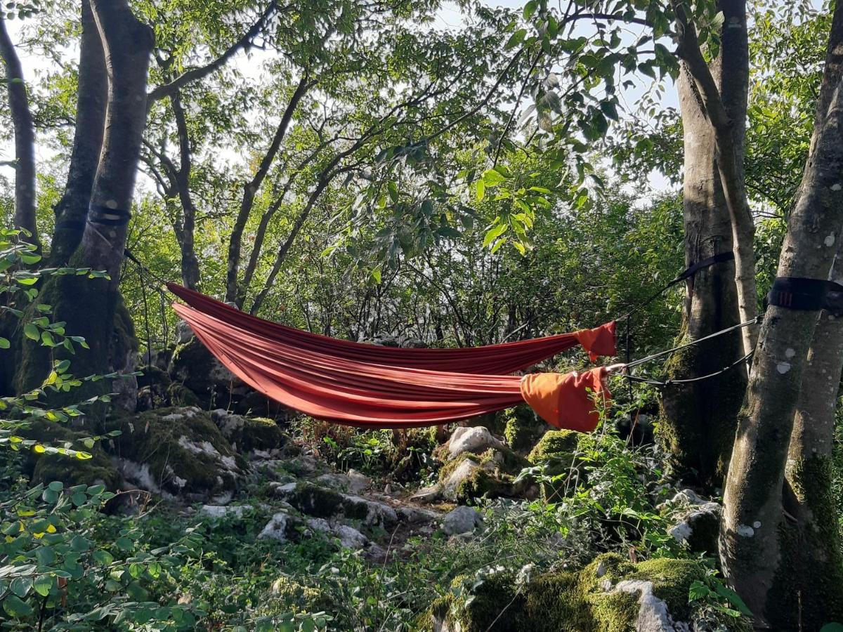 Отель Hoopoe Glamping Вирпазар Экстерьер фото